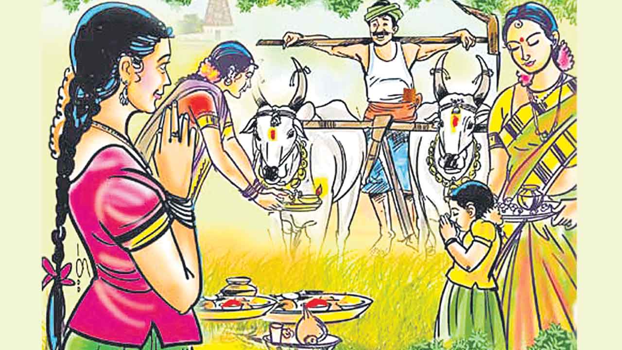 రైతుకు దన్నుగా.. నిండు పున్నమ