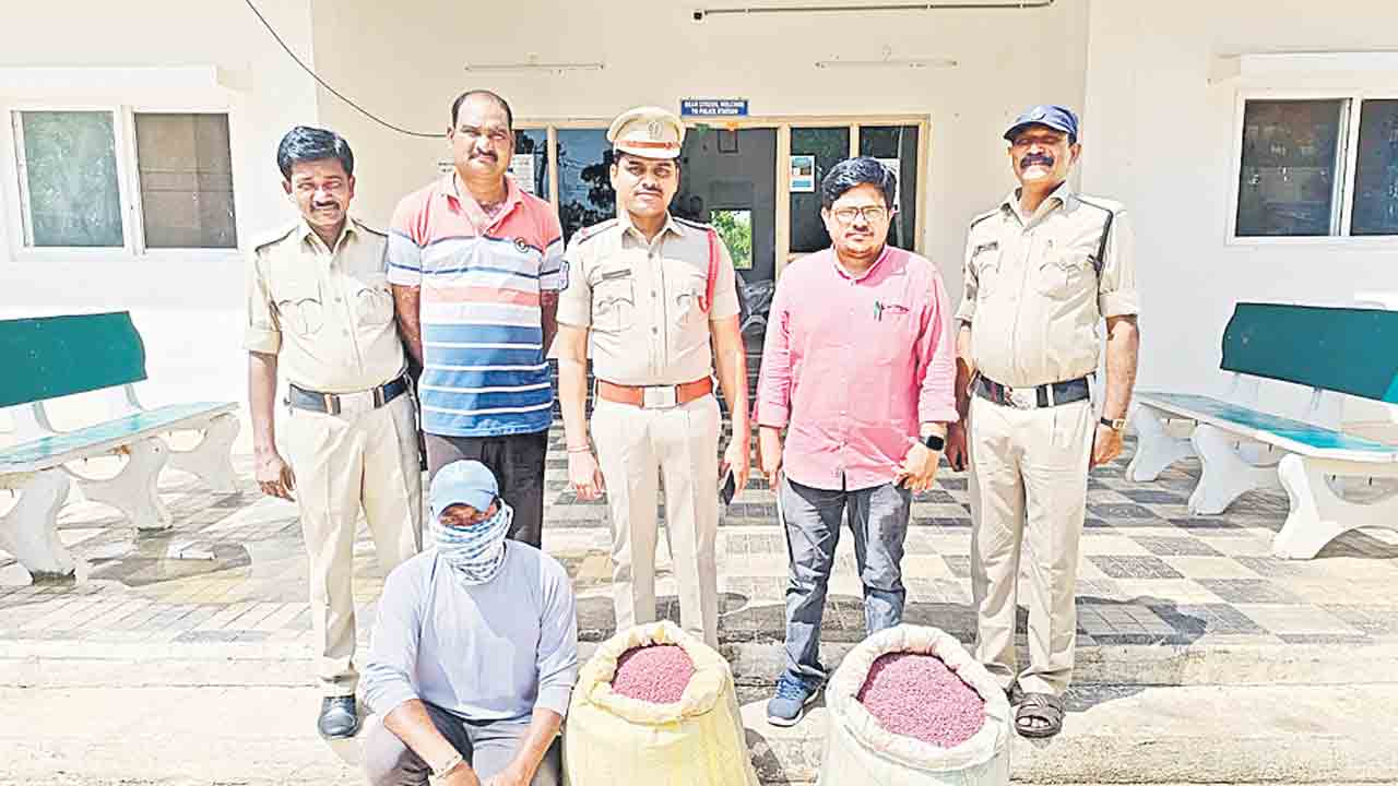 నకిలీ పత్తి విత్తనాల పట్టివేత