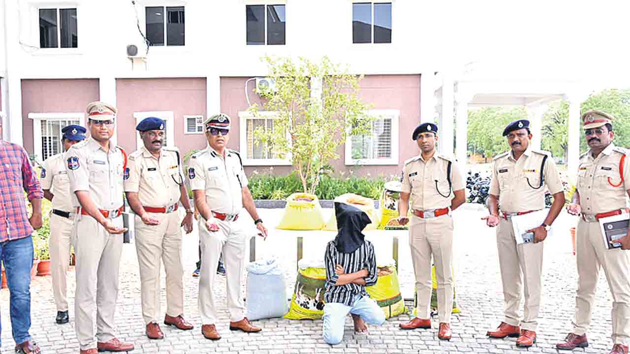 2.05 క్వింటాళ్ల నకిలీ పత్తి విత్తనాలు పట్టివేత