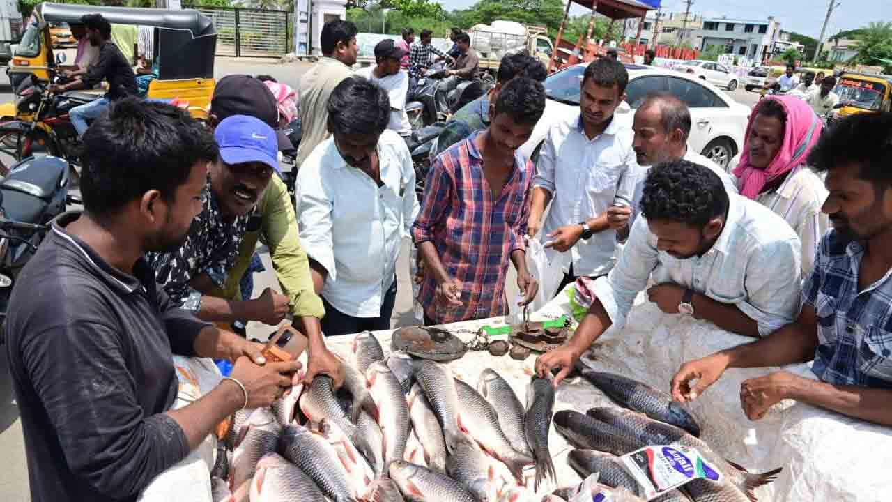 మృగశిర.. చేపల కూర