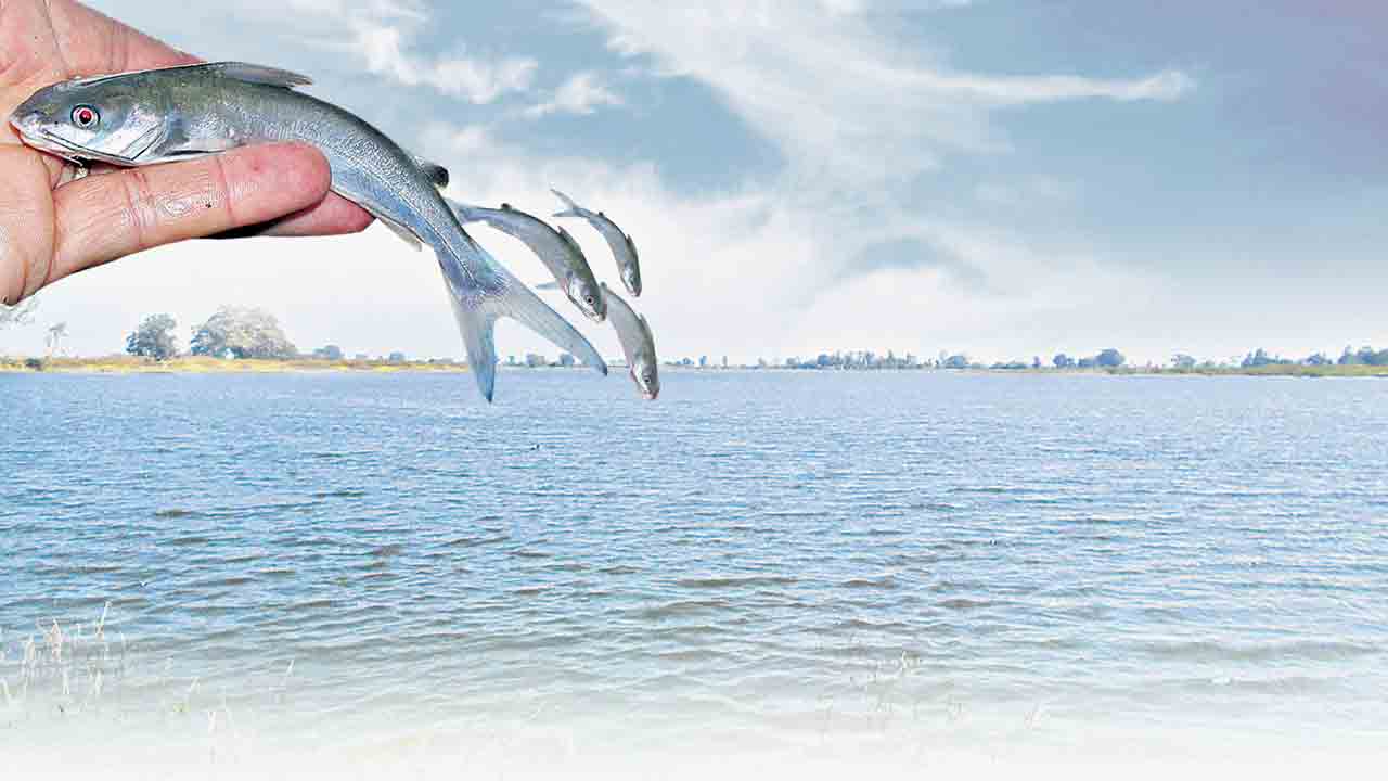 నీలి విప్లవంపై నిర్లక్ష్యం?