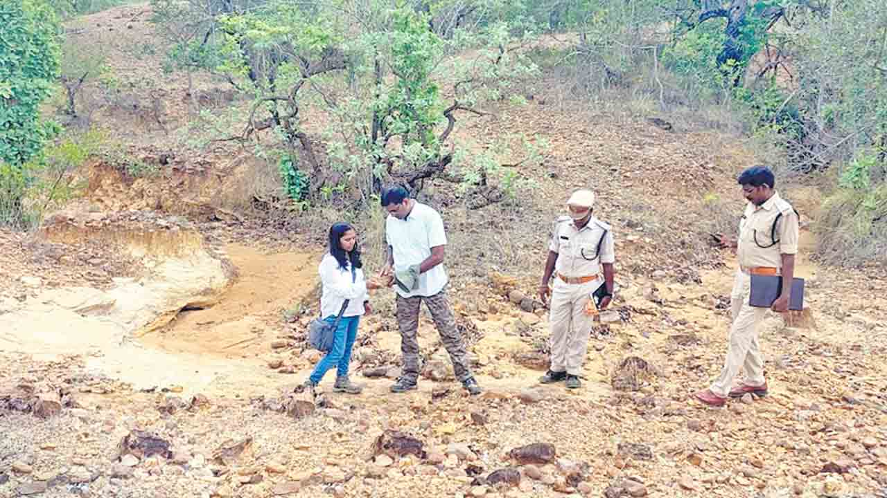 వృక్ష శిలాజాల పరిశీలన