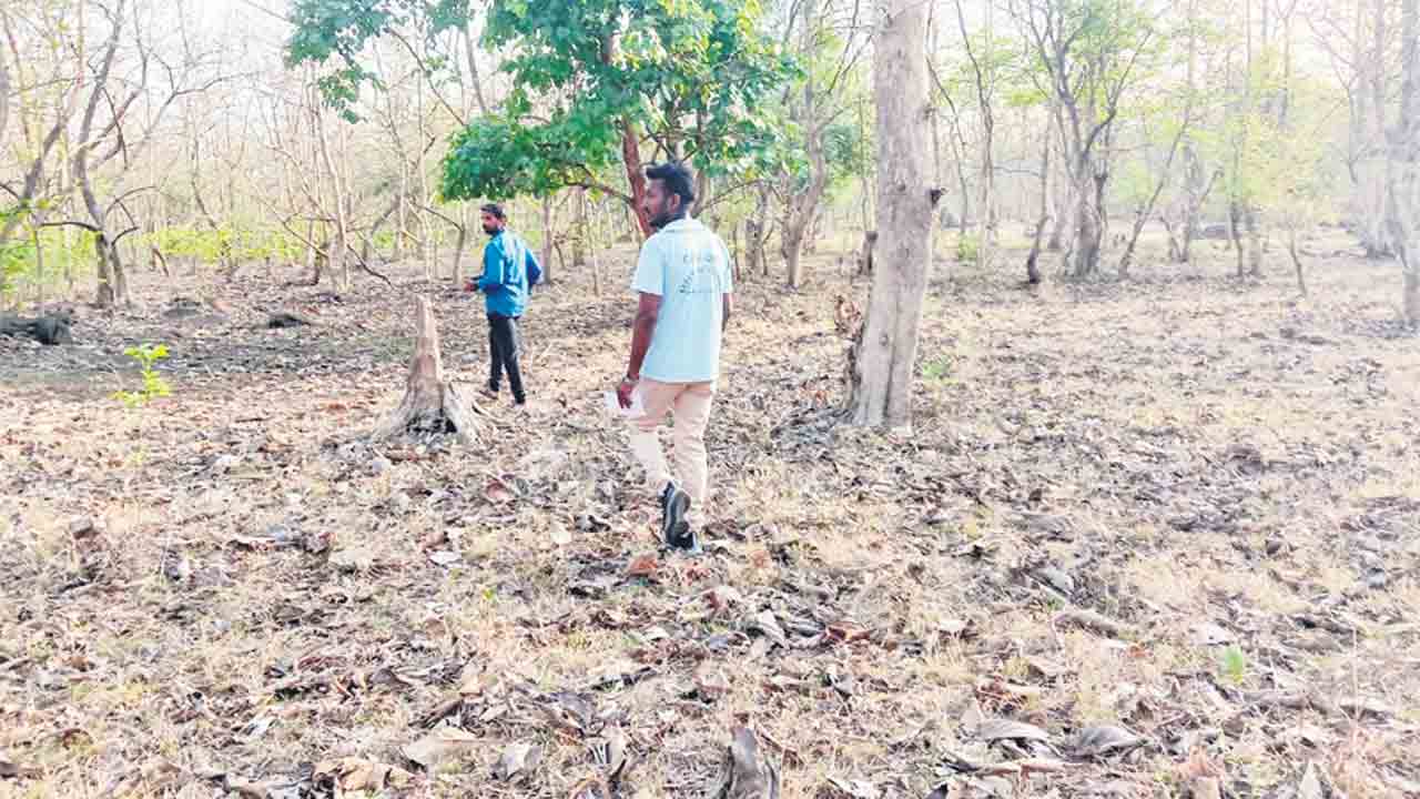 కవ్వాల్‌ జంతుగణన