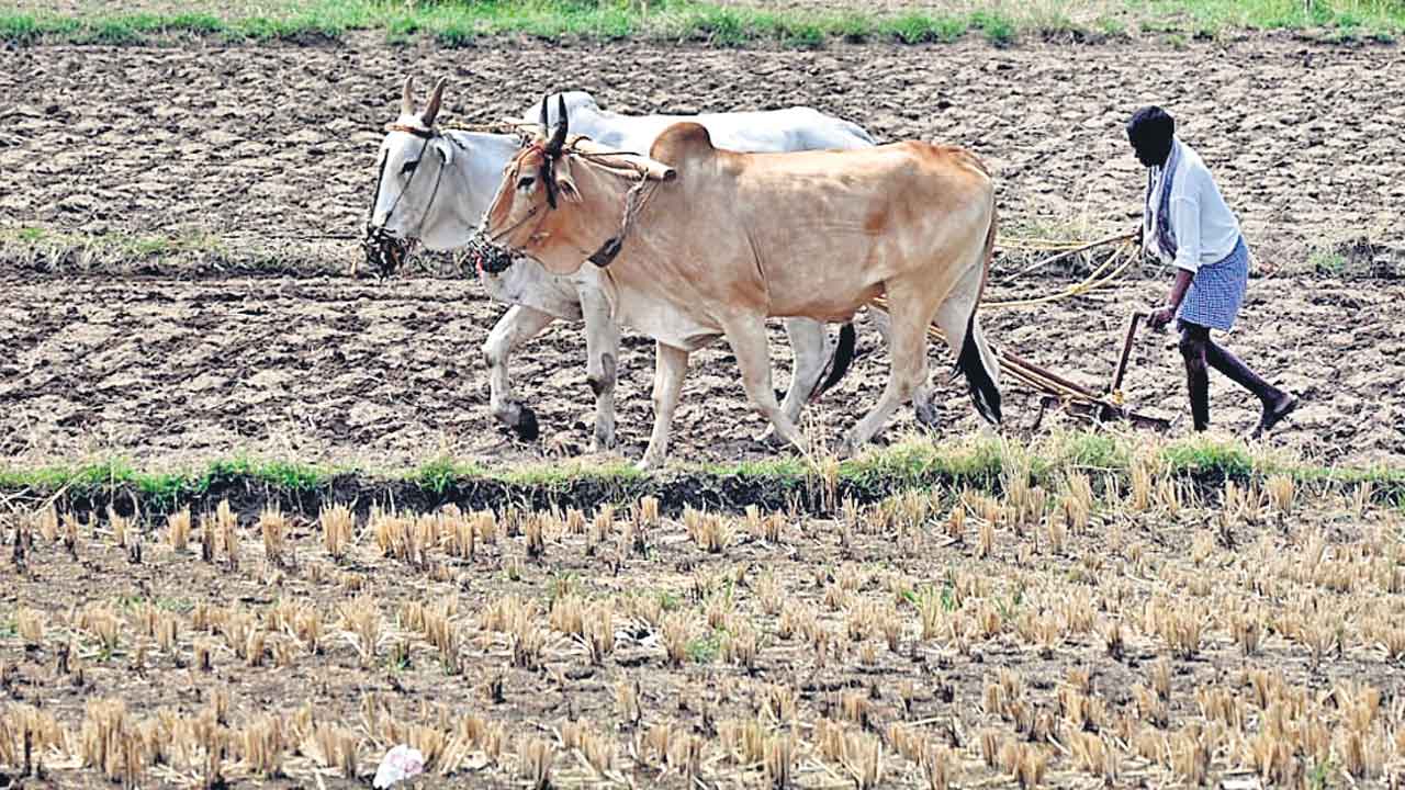 Rythu Runa Mafi | మాట నిలుపుకుంటారా? వాయిదా వేస్తారా?.. రుణమాఫీపై గందరగోళం!