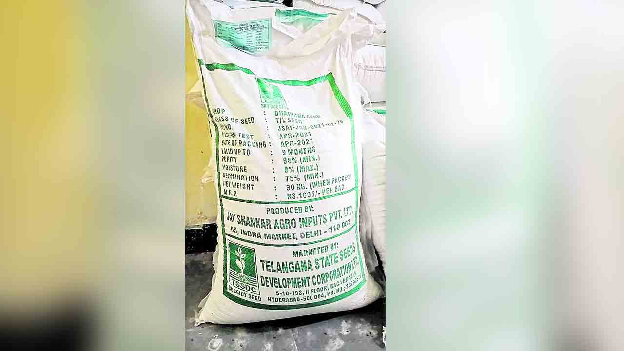 పచ్చిరొట్ట.. అధికారుల మేత