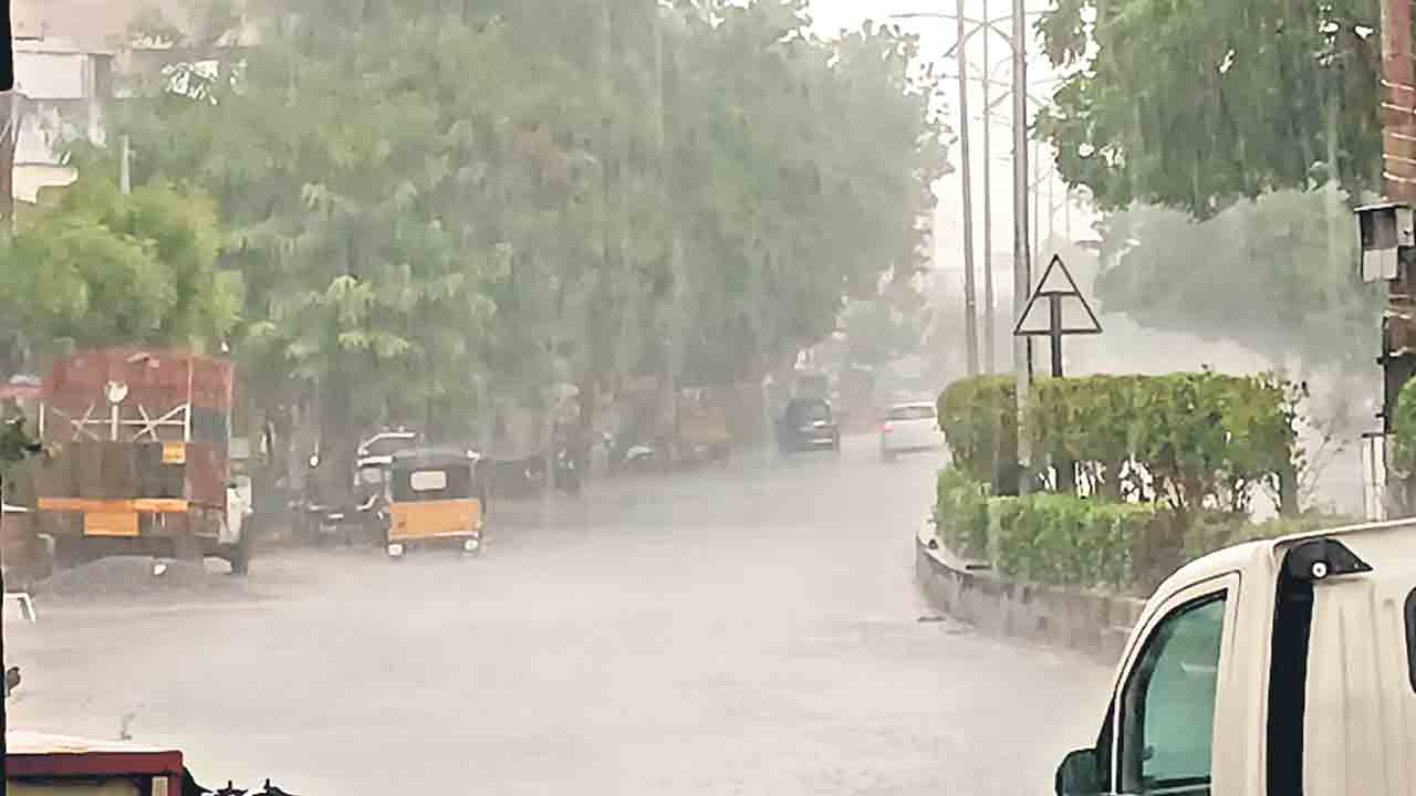 ఉమ్మడి జిల్లాలో వాన