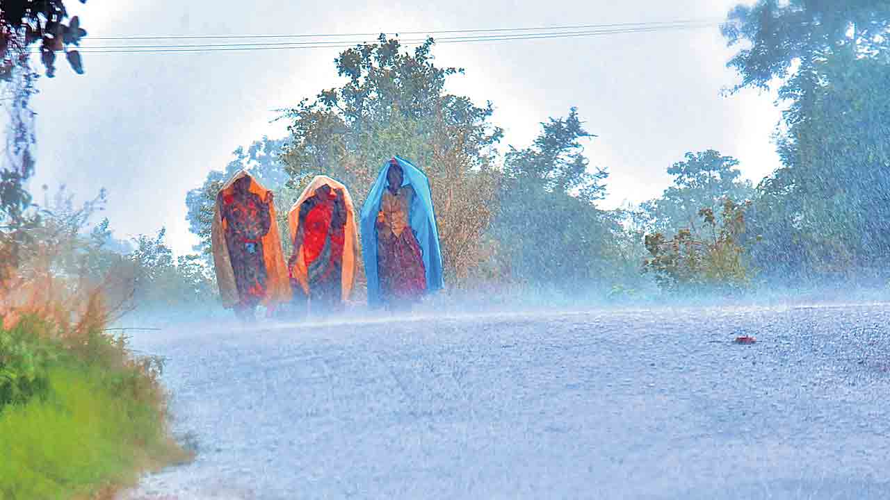 జోరు వాన ..
