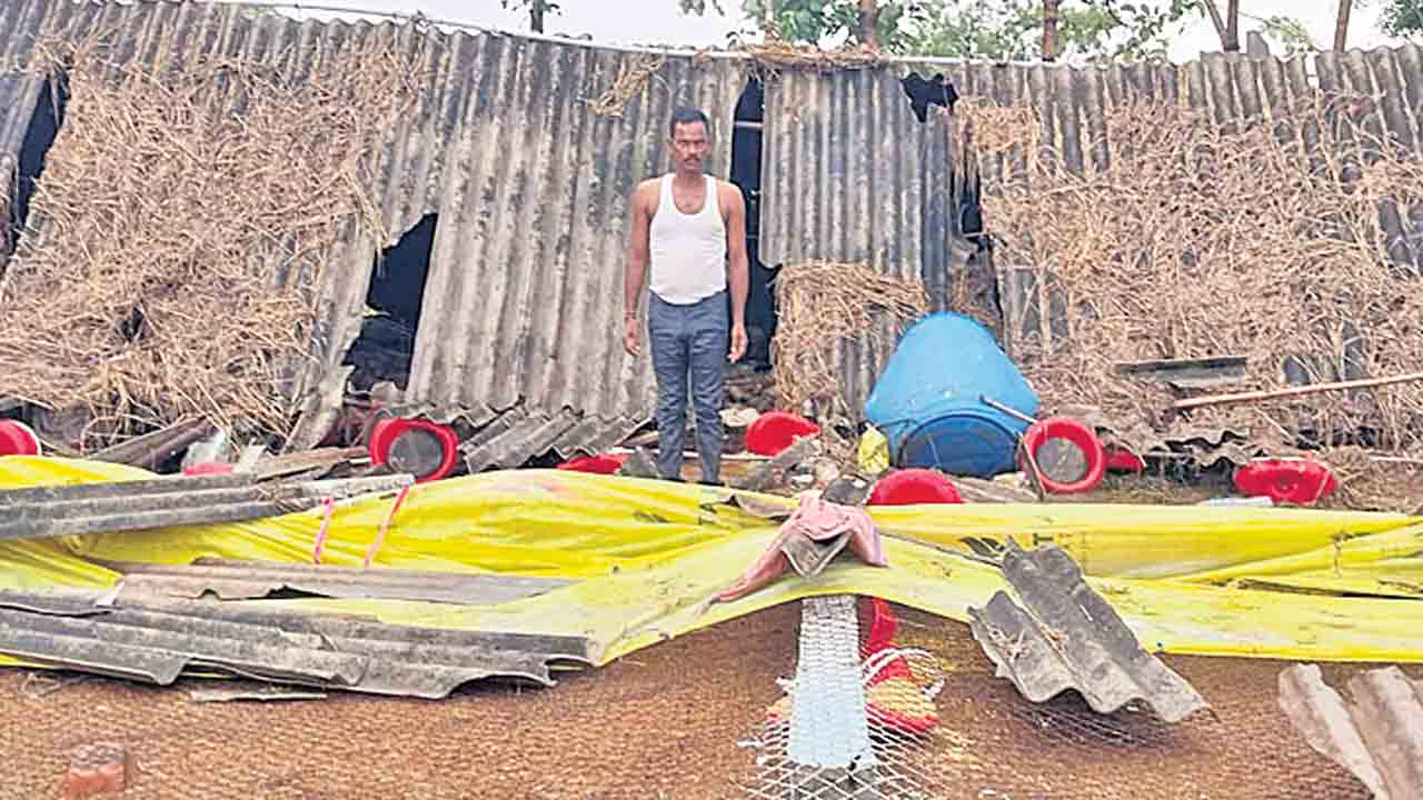 దంచికొట్టిన వాన