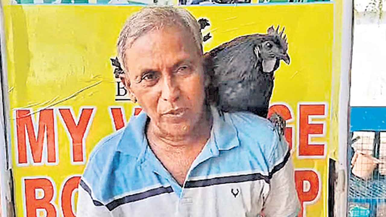 Jagtial | యజమాని చెప్పినట్టు వింటున్న నల్ల కోడి