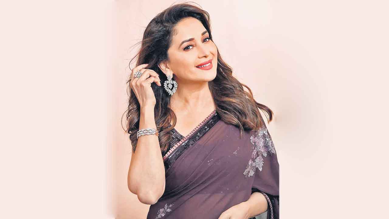 Madhuri Dixit | వివాదంలో మాధురిదీక్షిత్‌.. బ్లాక్‌లిస్ట్‌లో ఉన్న కంపెనీలకు ప్రమోషన్‌