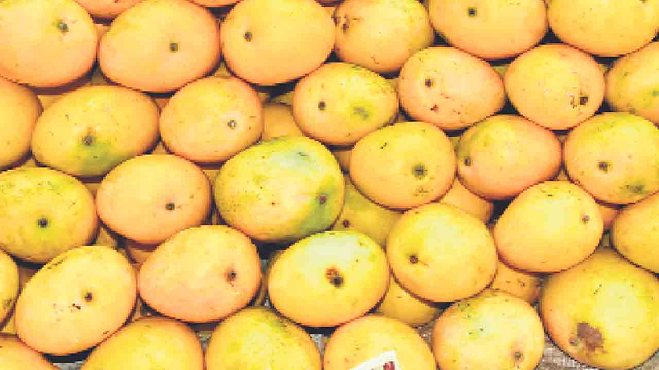 ఏ దిల్‌ మ్యాంగో మోర్‌..