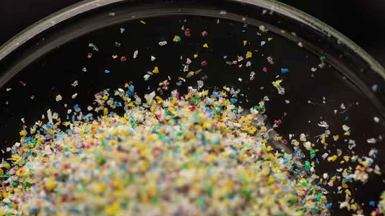 Microplastics | పురుషాంగంలోనూ మైక్రోప్లాస్టిక్‌