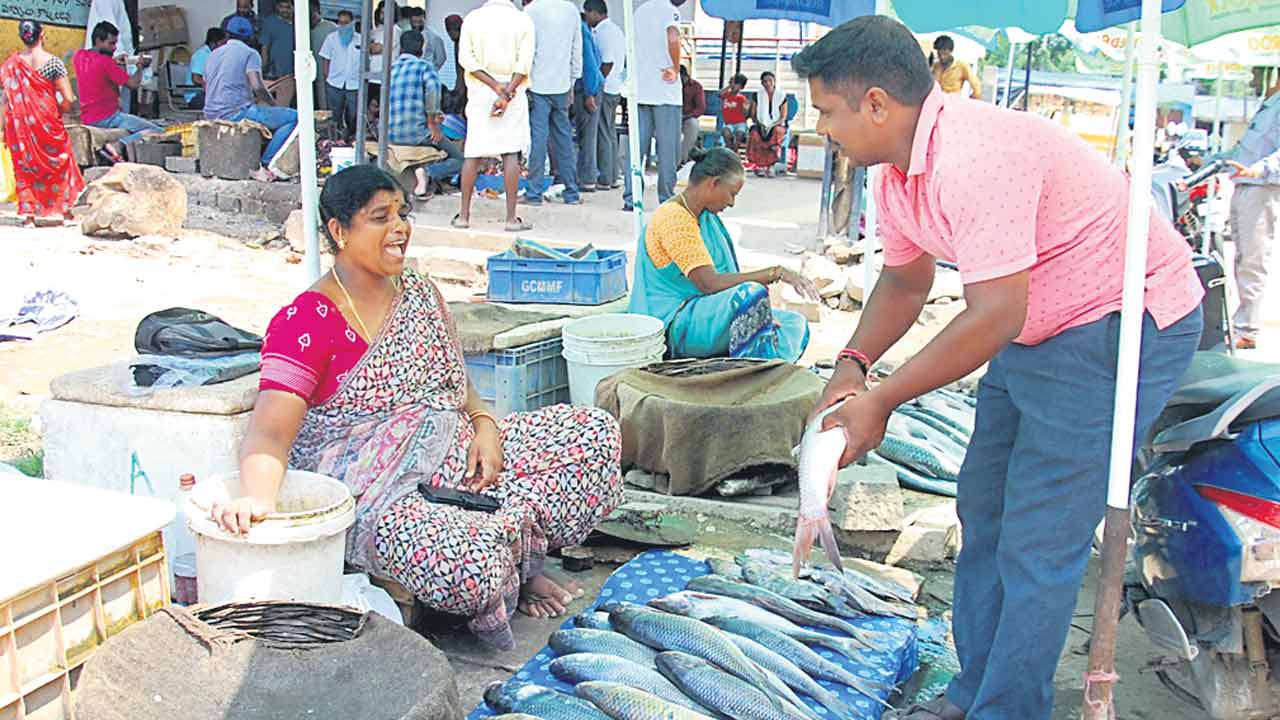 సంగారెడ్డిలో మృగశిర సందడి