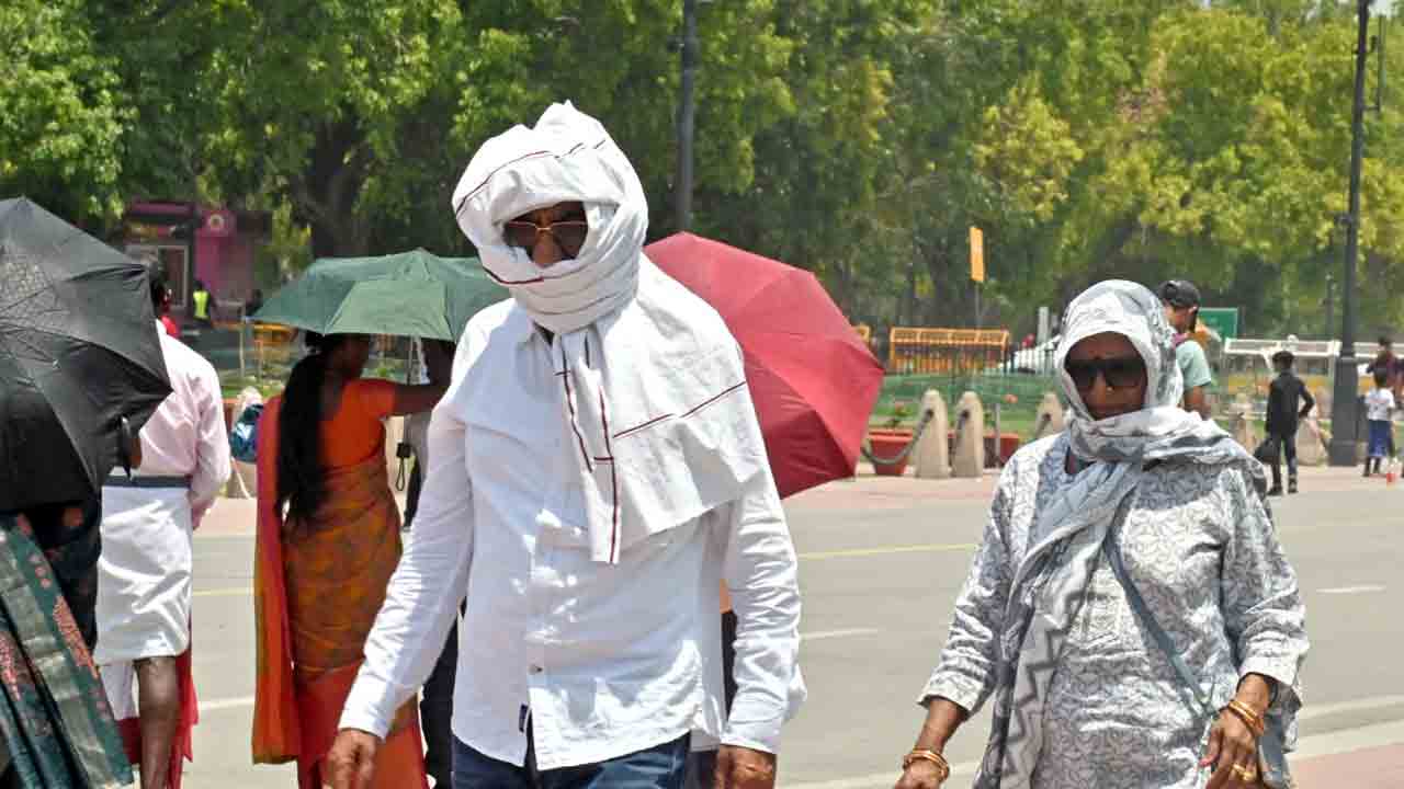 Mungeshpur | సెన్సార్‌ లోపం కారణంగానే ముంగేష్‌పూర్‌లో 52.9 డిగ్రీల సెల్సియస్‌ ఉష్ణోగ్రతలు : ఐఎండీ