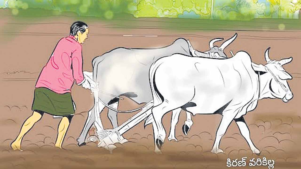 నాయిన మనసు