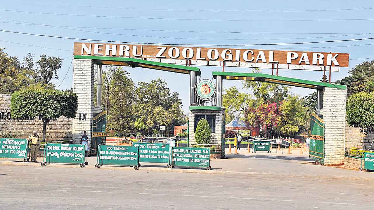 షాద్‌నగర్‌కు జూపార్క్‌ తరలింపు! మళ్లీ తెరపైకి దశాబ్దాల ప్రతిపాదనలు