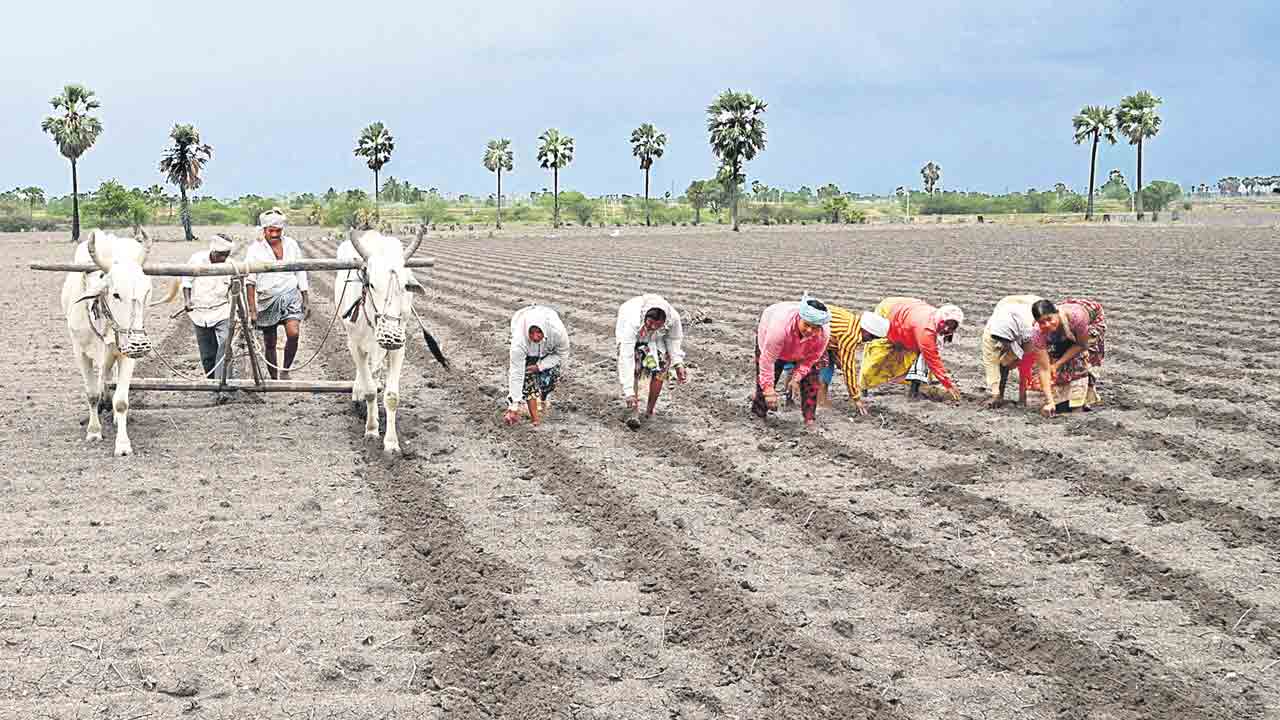 పంట రుణాలకు రైతుల ఎదురుచూపు