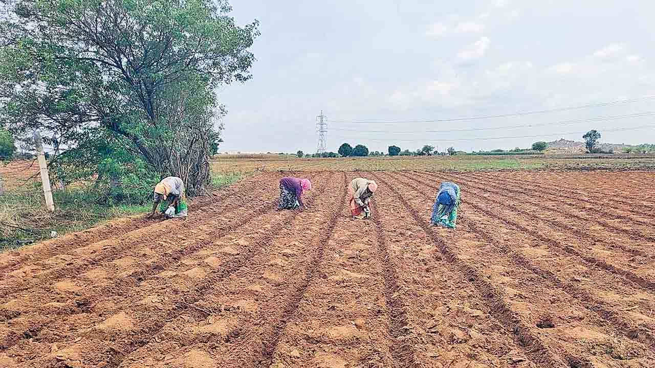సాగు పనులు షురూ..