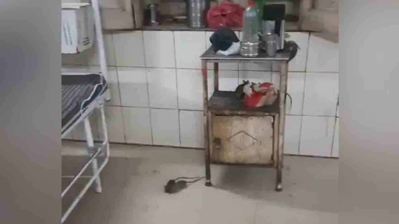 Watch: ఆసుపత్రి వార్డులో ఎలుకలు.. రోగుల కంటే అవే ఎక్కువ ఉన్నాయని విమర్శలు