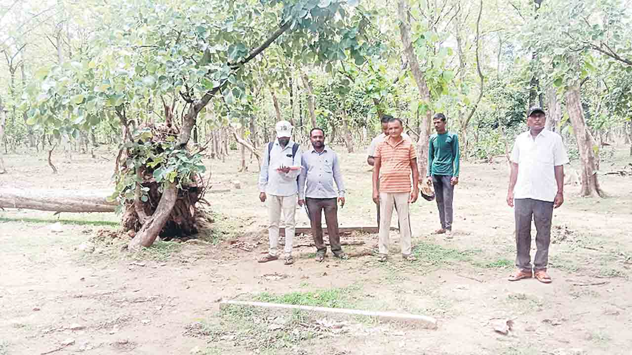 వివాదాస్పద భూమిపై సర్వే