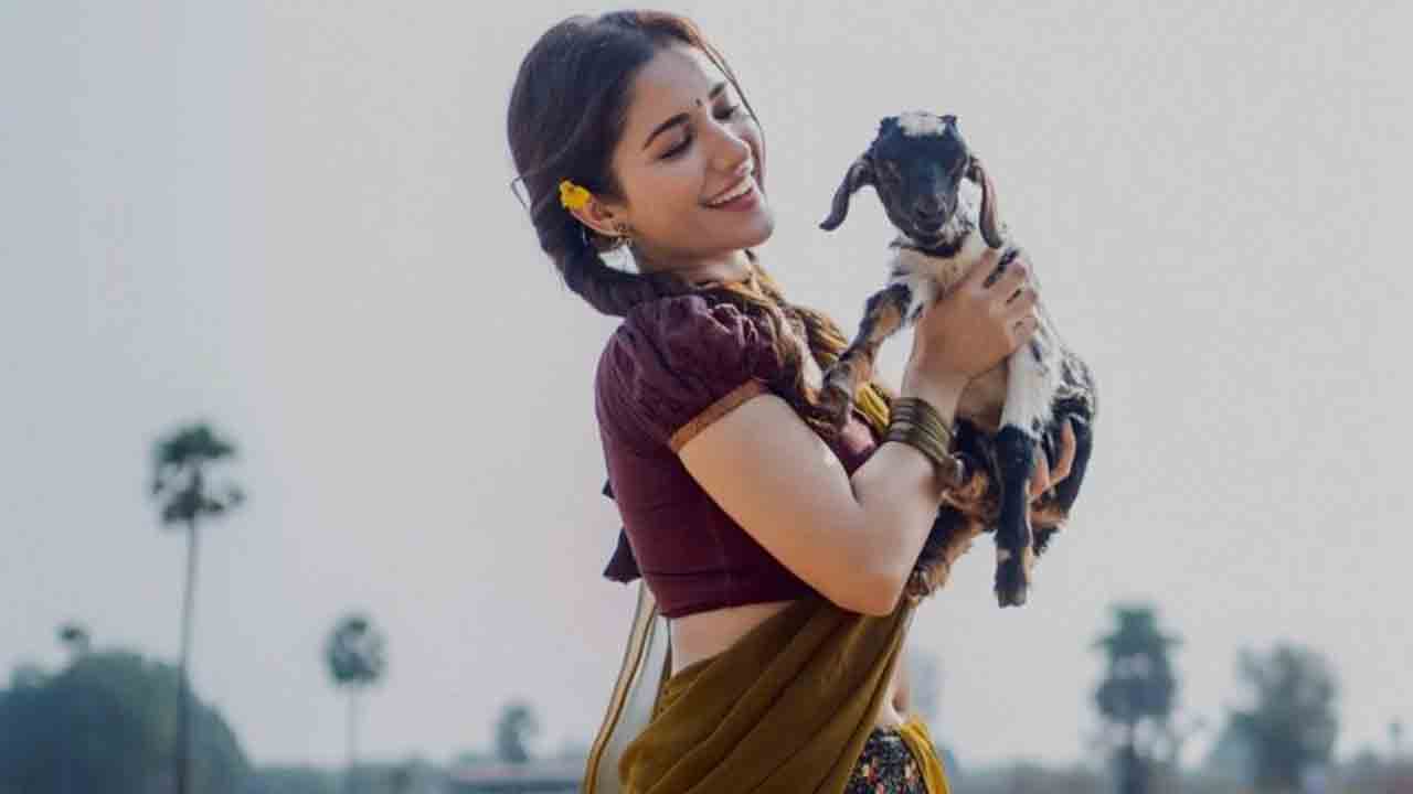 Ruhani Sharma | ఏమా అందం ఏమా అందం.. లంగావోణీలో రుహానీ శర్మ స్టిల్స్ వైరల్