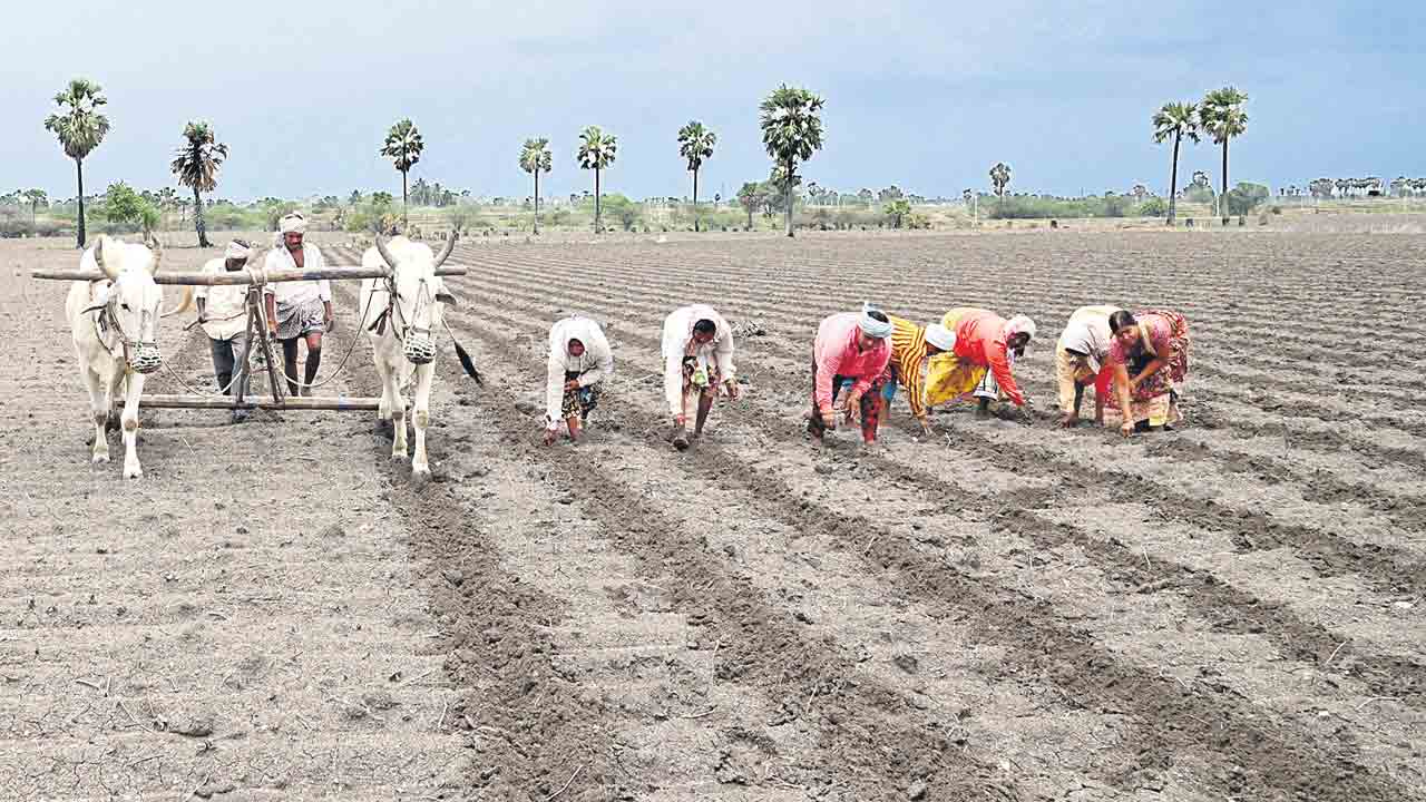 రైతు భరోసా ఏదీ?