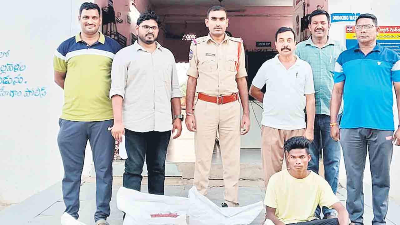 నకిలీ పత్తి విత్తనాలు పట్టివేత