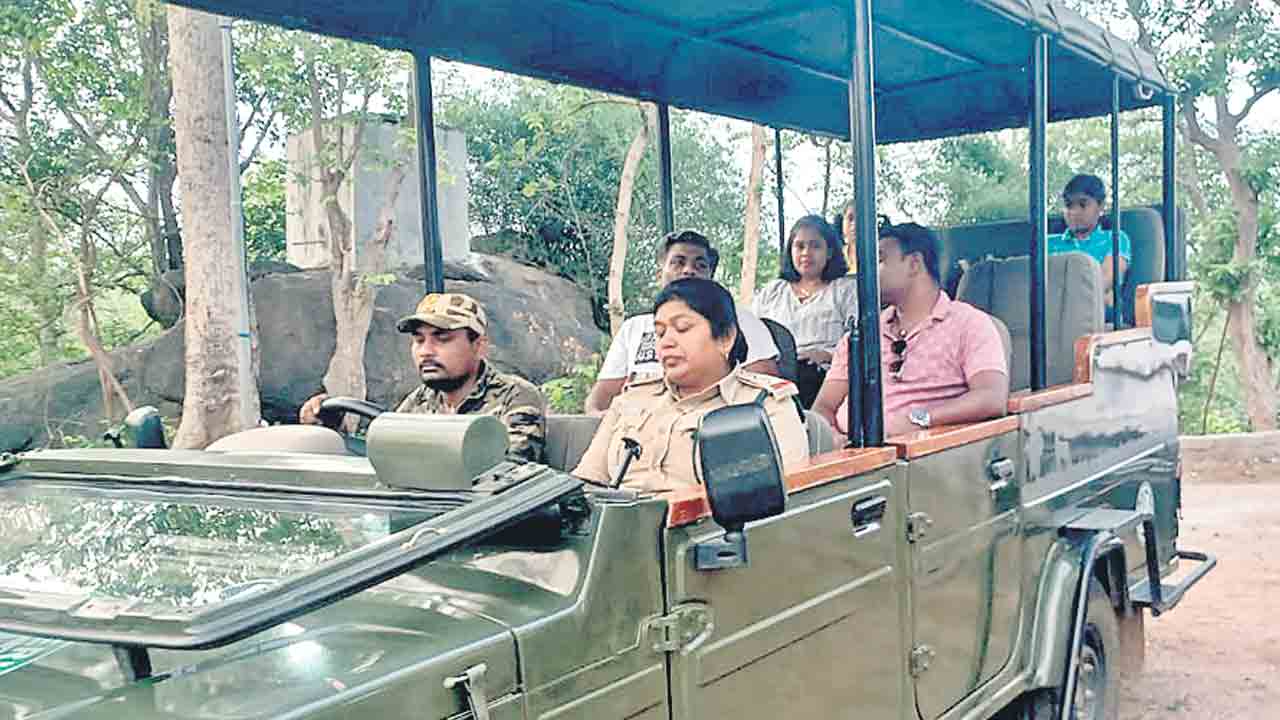 టైగర్‌ రిజర్వ్‌ అడవిలో ఎన్‌ఐఏ ఎస్‌పీ పర్యటన