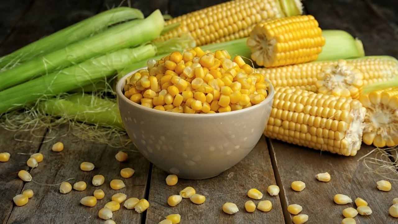 Sweet Corn | మీ డైలీ డైట్‌లో స్వీట్ కార్న్‌ ఉంటే.. ఈ అనారోగ్యాలను ఆమడ దూరం పెట్టొచ్చు..!
