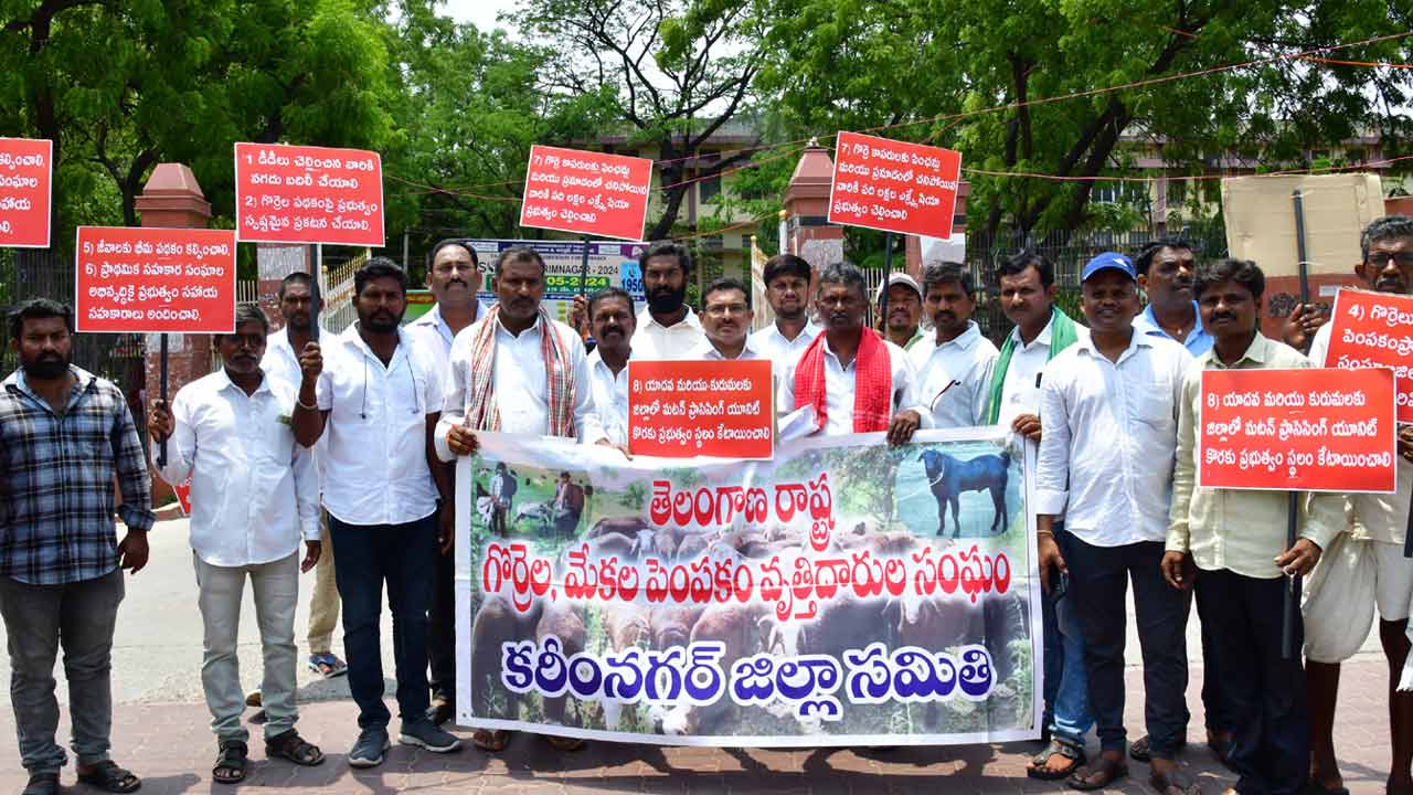 గొర్రెల పథకంపై స్పష్టమైన ప్రకటన చేయాలి