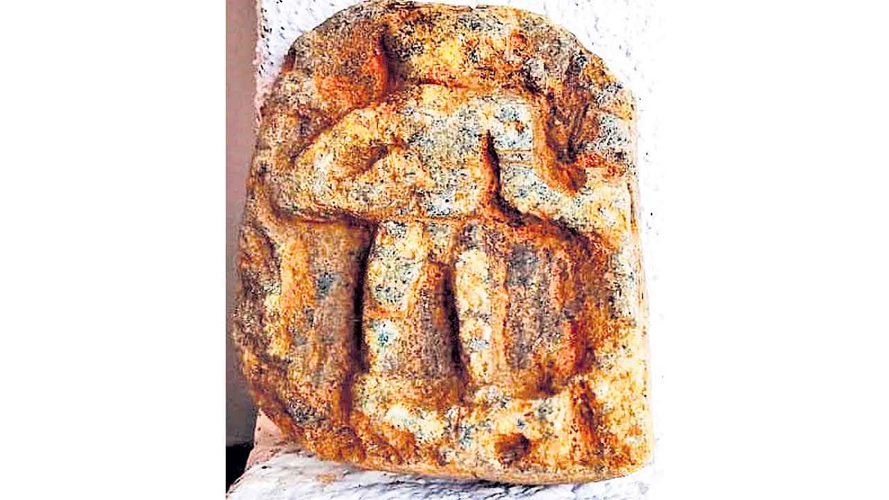 వరాహస్వామి విగ్రహం లభ్యం