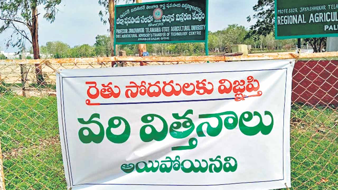 Telangana | వరినాట్లకు విత్తనాల కొరత.. రైతన్నల అగచాట్లు
