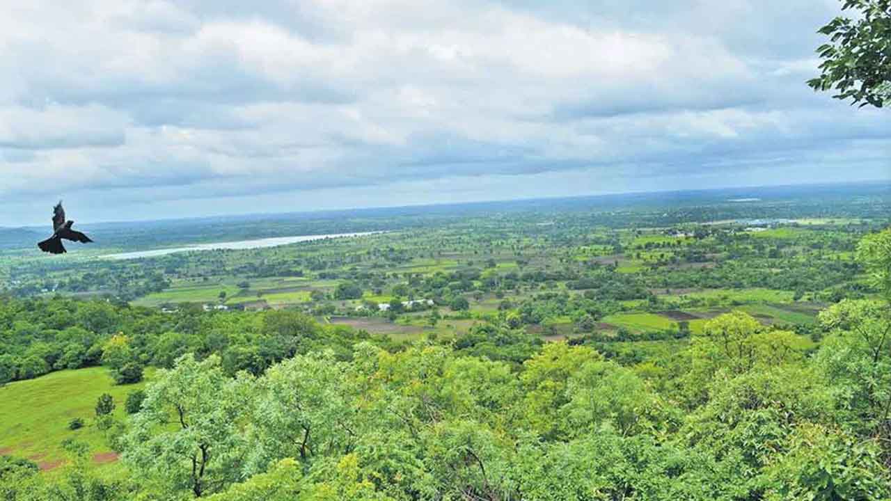 Vikarabad Forest | వీఎల్‌ఎఫ్ రాడార్‌తో వికారాబాద్‌ అడవికి ముప్పు