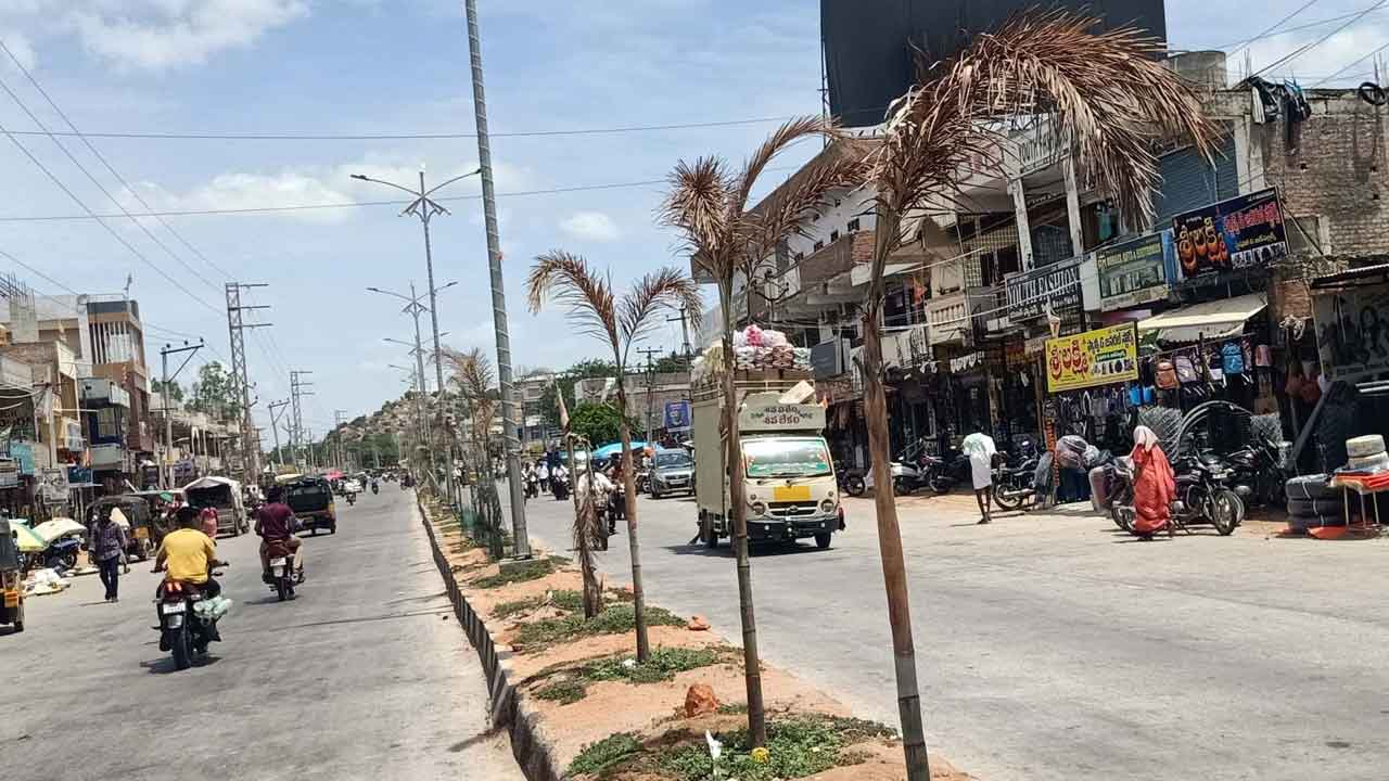 పచ్చదనంపై పట్టింపేది?