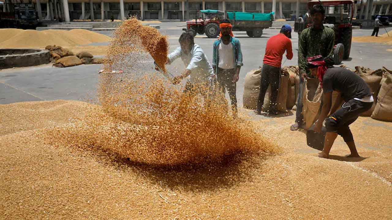 గోధుమ నిల్వలపై కేంద్రం ఆంక్షలు