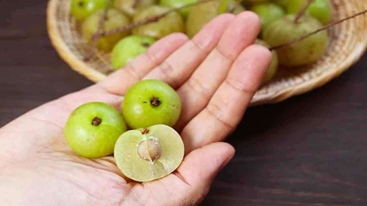 Health Tips | వేస‌విలో ఉసిరితో అద్భుత ఆరోగ్య ప్ర‌యోజ‌నాలివే..!