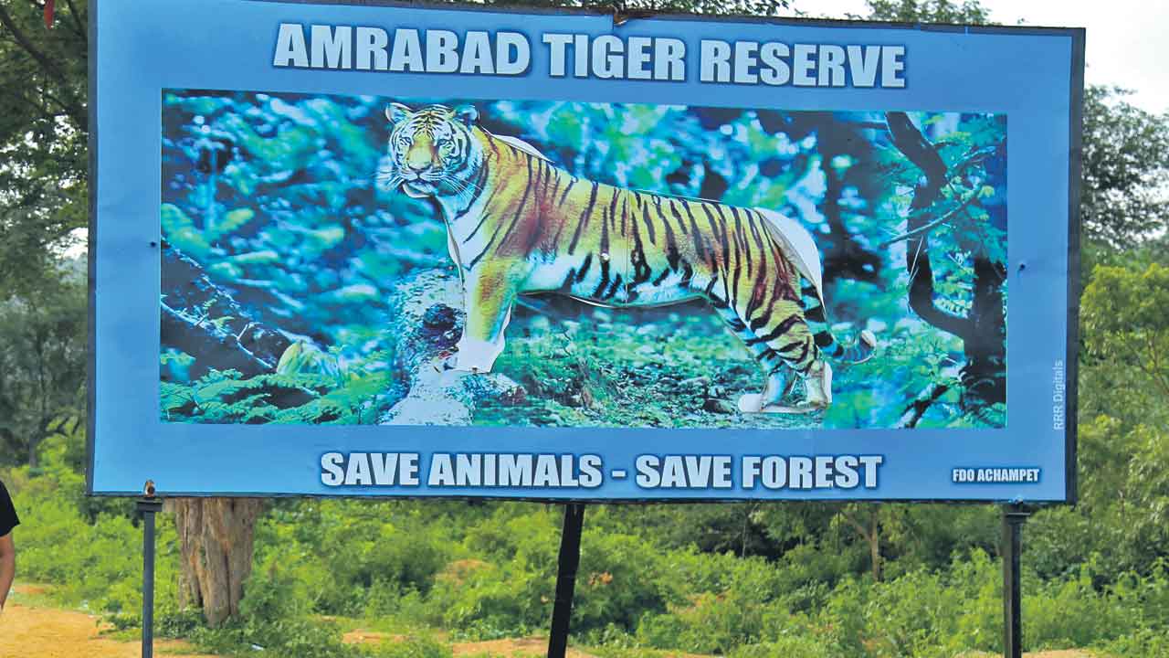 టైగర్‌ రిజర్వ్‌ నుంచి 415 కుటుంబాల తరలింపు