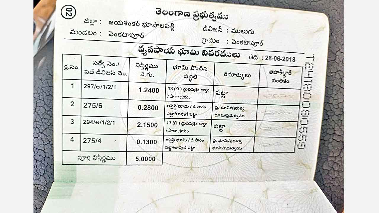 Mulugu | రెవెన్యూ శాఖ ఉద్యోగి వక్రబుద్ధి.. భూమి లేకున్నా తల్లిపేర పట్టా