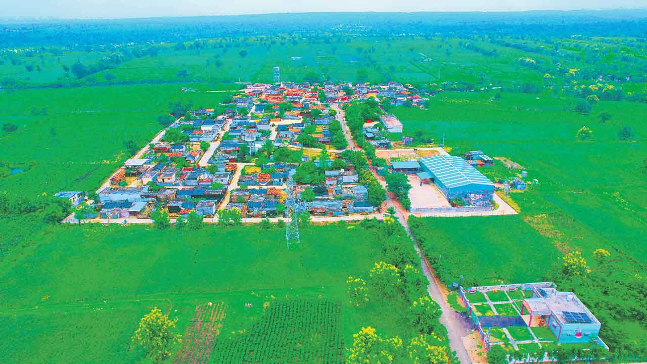 భూమికి పచ్చాని రంగేసినట్టు!