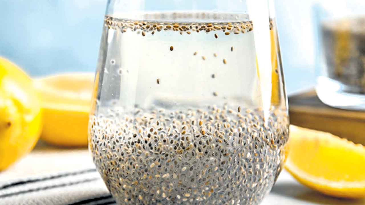 చియా గింజల మాయ