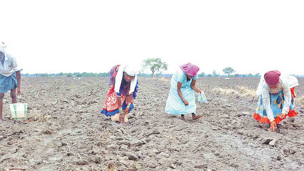 రైతుల పొలం బాట
