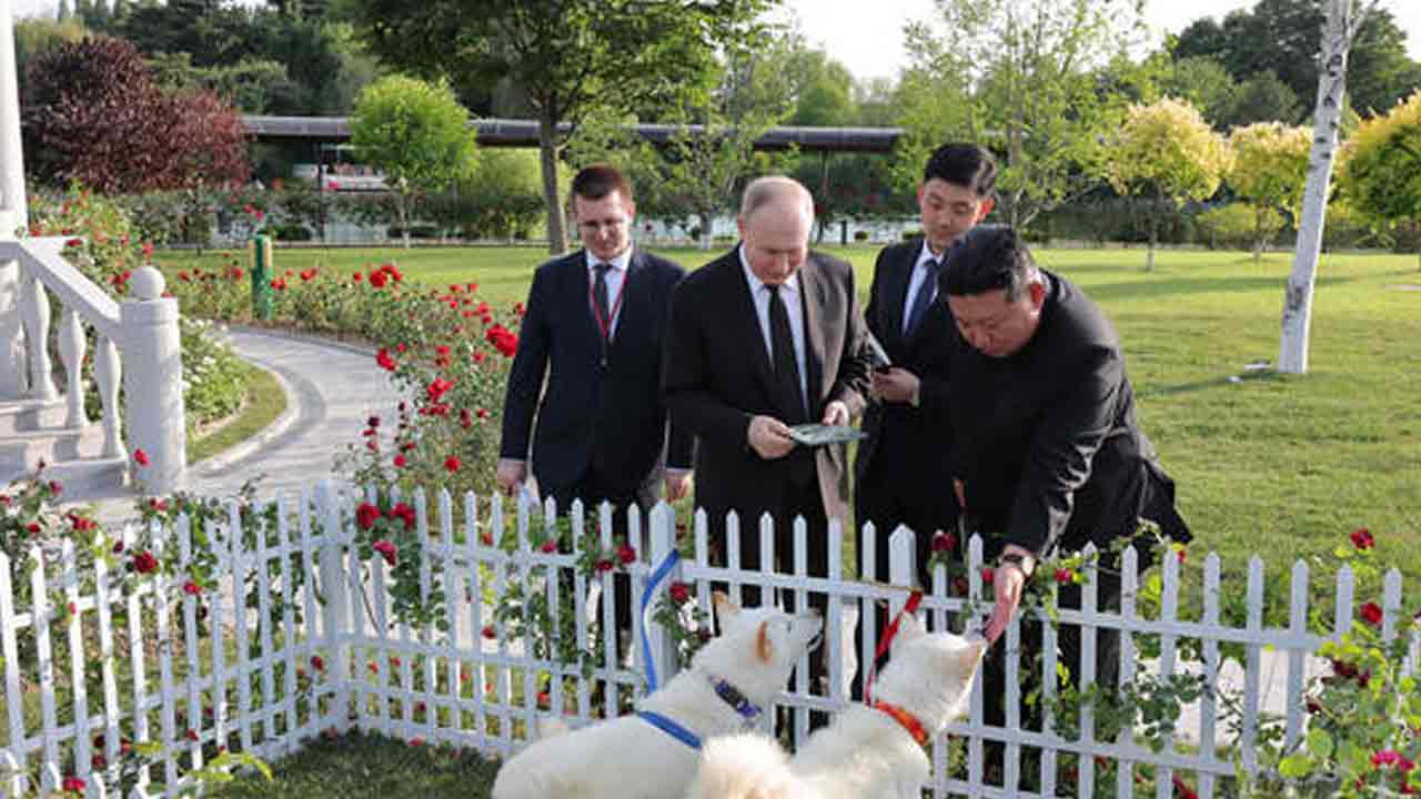 Rare Dogs: పుతిన్‌కు అరుదైన శున‌కాలను గిఫ్ట్ ఇచ్చిన కిమ్
