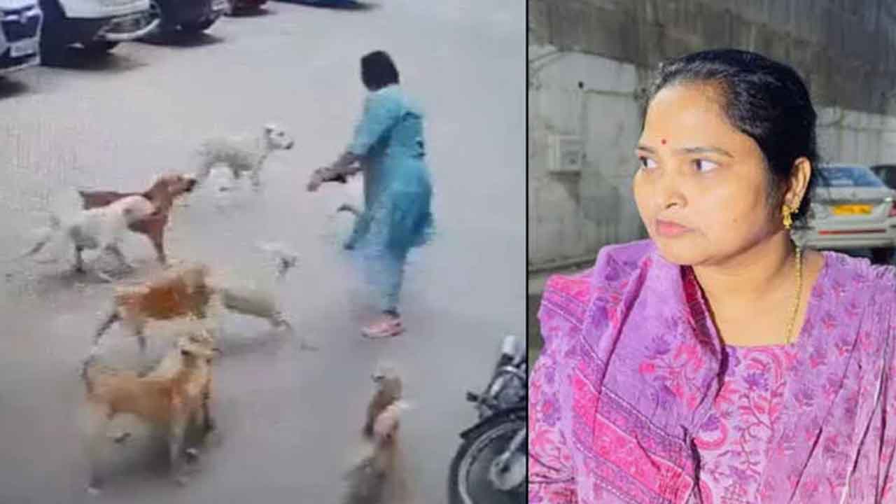 చిత్రపురిలో వీధికుక్కల వీరంగం