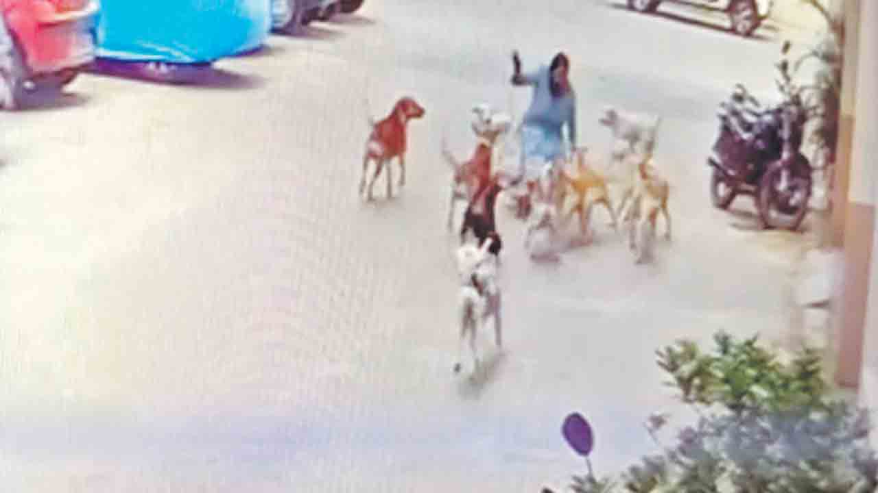 ప్రాణాలు పోతే గానీ.. స్పందించరా