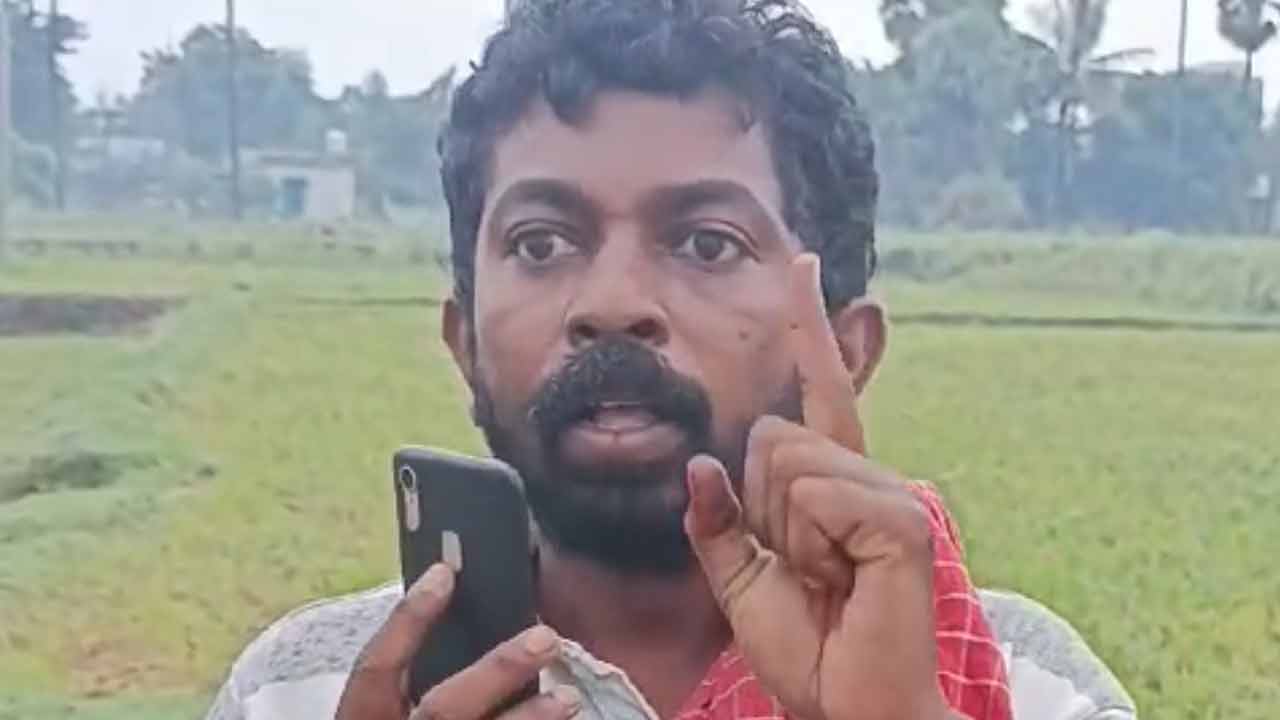 కరెంట్‌ కోత.. కోళ్ల మృత్యువాత!