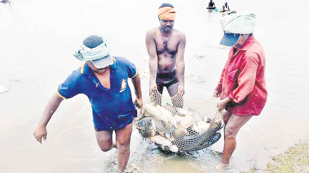 నీలి విప్లవంపై నీడలు