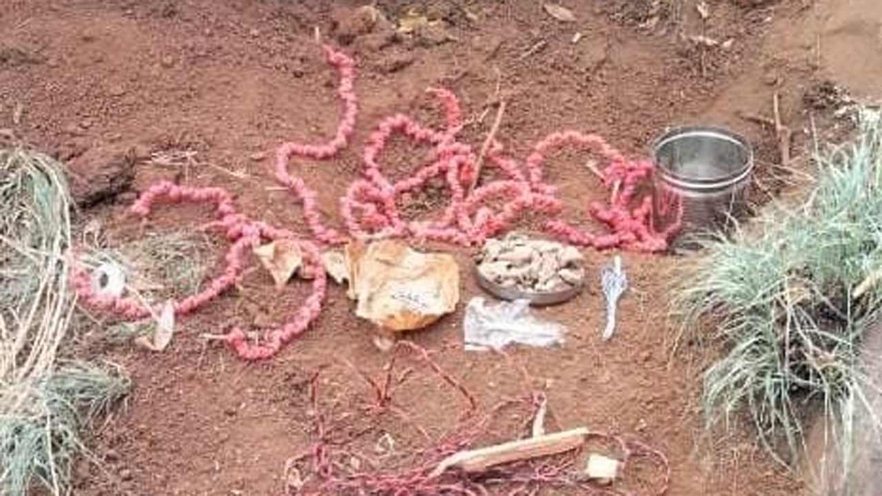 ములుగులో మావోయిస్టుల కుట్ర భగ్నం చేసిన పోలీసులు