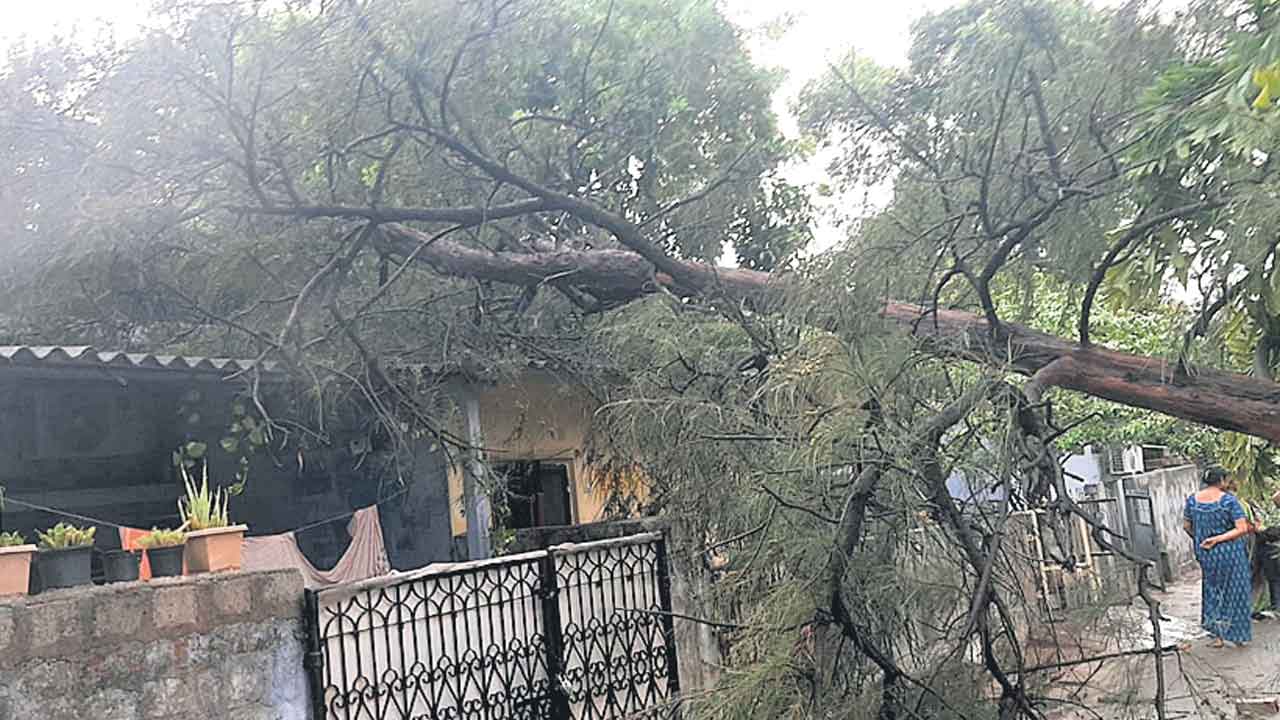 ఈదురుగాలుల బీభత్సం