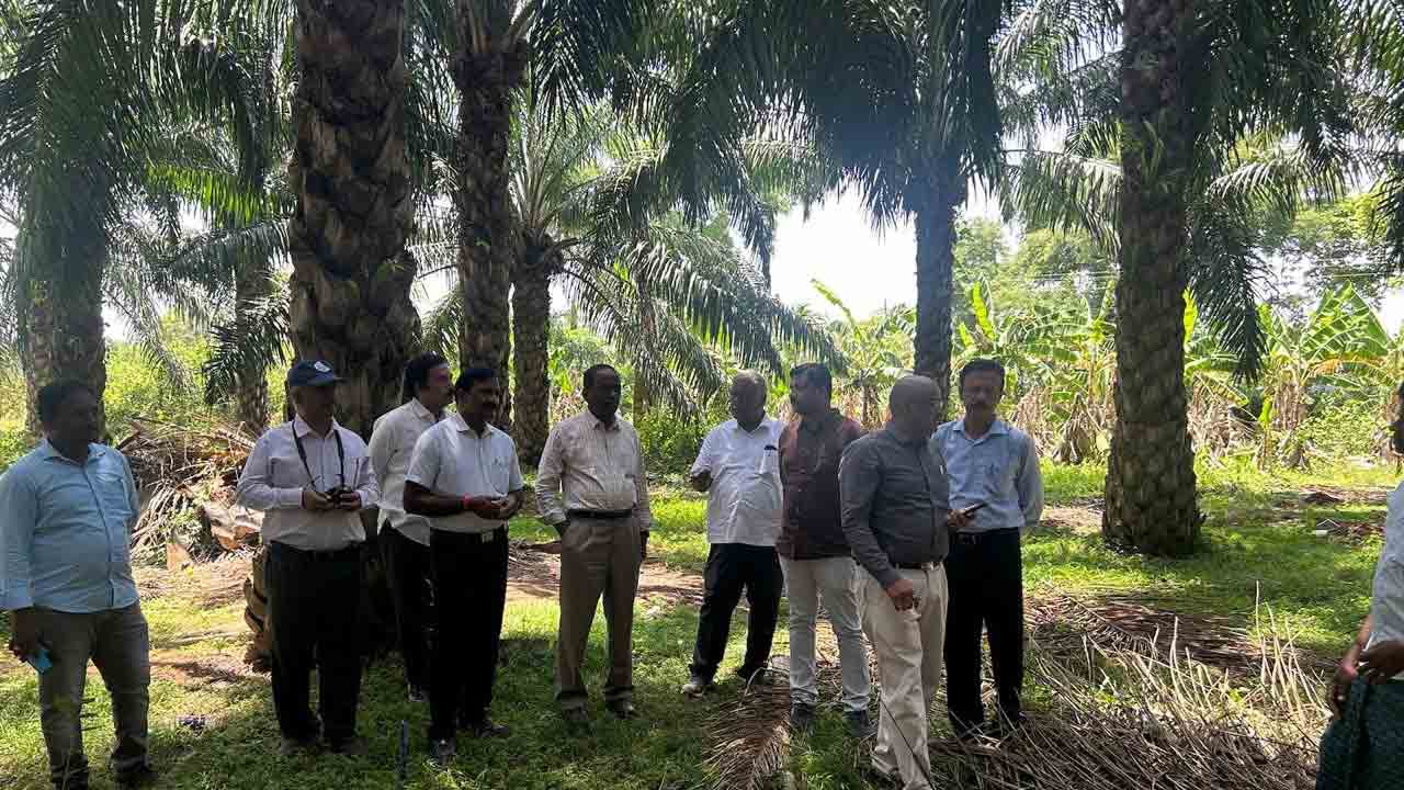 ‘ఆయిల్‌పాం’లో ఆదివాసీలకు ప్రోత్సాహం