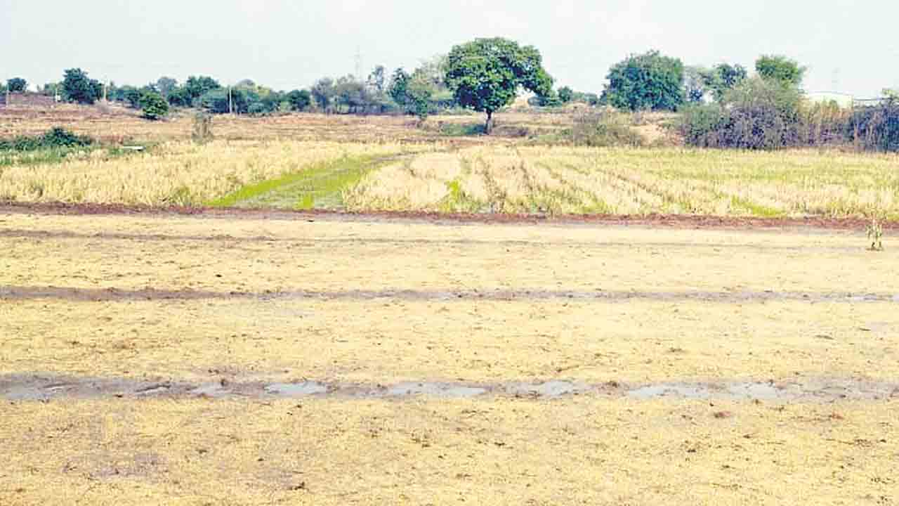 సాగుకు కరెంట్‌ కష్టాలు